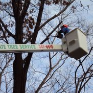 Jim Peters from Accurate Tree Service and Stump Grinding, LLC - PHONE: 608-347-8510