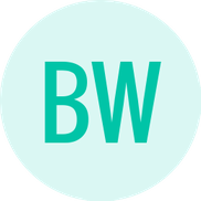 Bruce Webb from Webb Sight Consulting