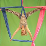 Zina DiTonno from Aerial Fun & Fitness
