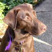 Eugene Listi from Through The Lens Studios