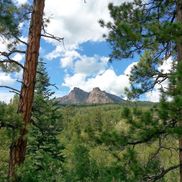 Todd Vandegrift from Vandegrift Diesel