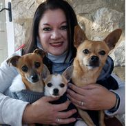 Diane Squires from Happy Feet Pup Walks & Pet Sitting