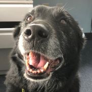 Ryan Parrish from Allthread Ink 