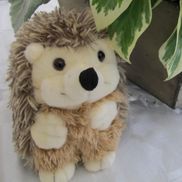 Joel Tay from Magic of Joel