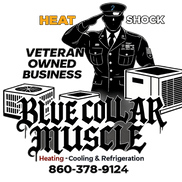 Heat Shock 2 llc
