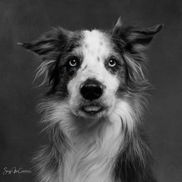Suzy McCracken from Suzy McCracken Photography