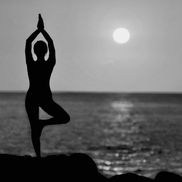 Lake Champlain Yoga & Wellness
