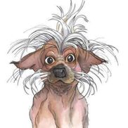 Marcia Anderson from Marcia James