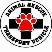 Kymberly Traylor from Pitstop Pit Bull Rescue Transport