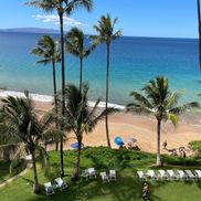 Maui Man Wolfe from Tropical Bound Condo Rentals Inc