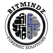 Manny Kressel from BitMindz, LLC