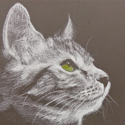 Choo Kua from Grassyfield Creative