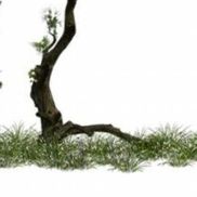 Latresa Hamburger from Joyride Insurance Services, Inc.