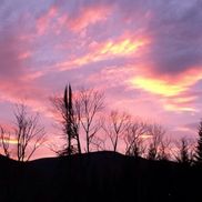 Annie Borgenicht from Annie Borgenicht’s Feldenkrais practice