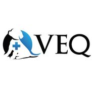 Terry Newsom from VEQ