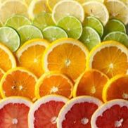 Coast Fork Farm Stand