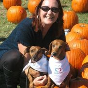 Cheryl McClure from You're First LLC