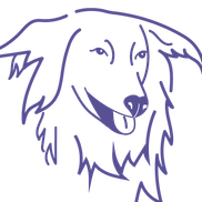 Jean Kolor from First Friend Canine Consulting, llc