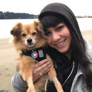 The Venture Vet