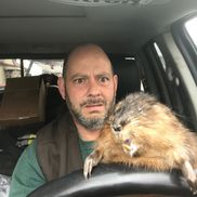 Richard Burton from Specialized Wild Animal Trapping