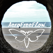 Jake & Tiff et al. from AeroFreeFlow