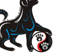 Dr. Shannon Budiselic from Equilibrium Veterinary Rehab