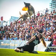Keri Caraher from The Canine Stars Stunt Dog Show