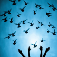 Joan Taylor from Clarity Now