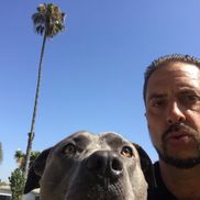 Ross Ricks from Surf City Sound