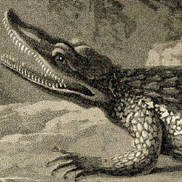 Linda Guy from Artistic Services