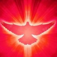 Lisa Wilkinson from Writer