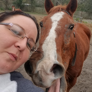 Michelle Braithwood from Gypsy Heritage Horse Rescue and Rehabilitation