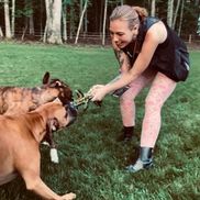 Ashley Guti from Take Meowt: Dog Walking & Pet Sitting