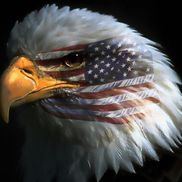 Abc Advertising from ABC Advertising Agency Inc