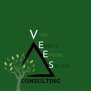 Veronica Thornton from Vee's Consulting LLC