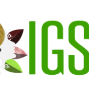 Misty Mize from Indica Granite & Stones - IGS