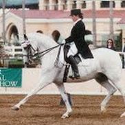 Linda McDowell from LKMDressage