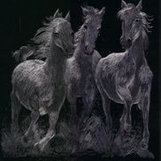 Teresa Sappington from Dream Weavers Equine Coaching LLC