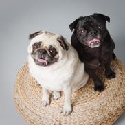 Teresa Berg from Teresa Berg Photography