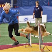 Diane Goodspeed from Agility & Beyond