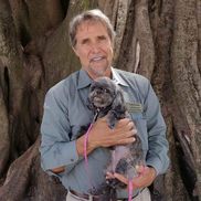 Andrew Cabot from Andrew Cabot Florida Realtor