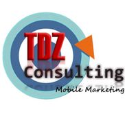 Thomas Hattori from TDZ Consulting Group