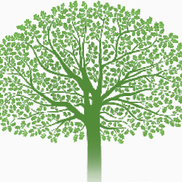 Antiquity Environmental Consulting Ltd.