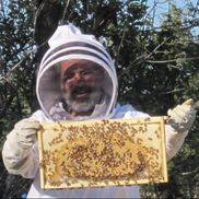 Don Studinski from Hive Magic, LLC