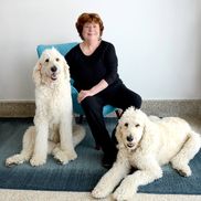 Michele Koonin from Affordable Online Classes, LLC