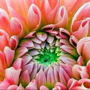 Melissa Clark from Melissa Clark Photography & Consulting LLC