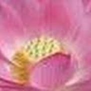 Jana Krause from Spiritual Awakenings by Jana