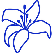 Erin Lilly from Lillybrook Counseling Services