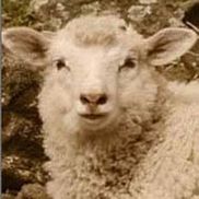 Toni Tucker from BerkshireStyle