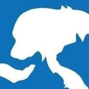 John Lockwood from Fuzzy Friends Pet Food Pantry